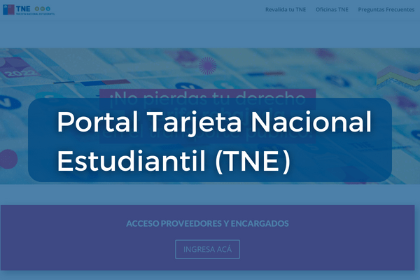 Portal TNE