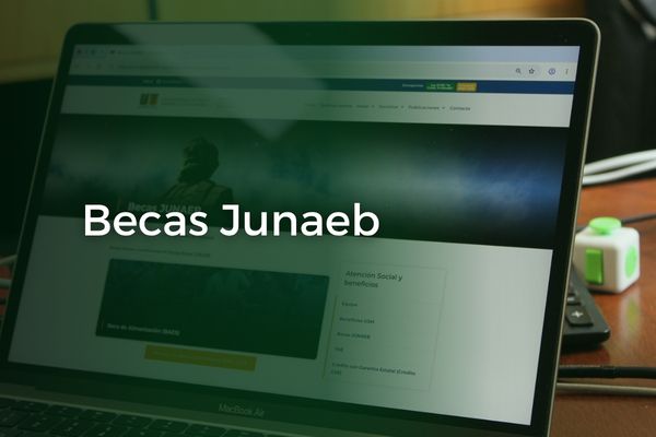 Becas Junaeb