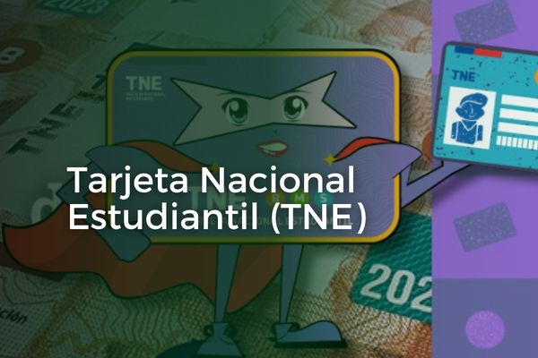 Portal TNE